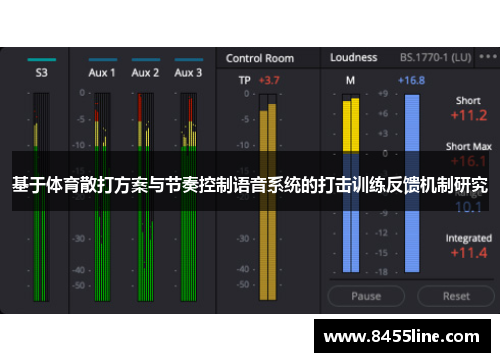 基于体育散打方案与节奏控制语音系统的打击训练反馈机制研究